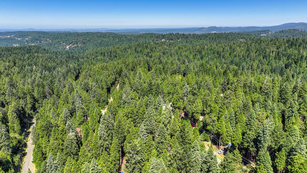 3644 Gold Ridge Trail Pollock Pines, CA 95726 - Photo 89 of 97