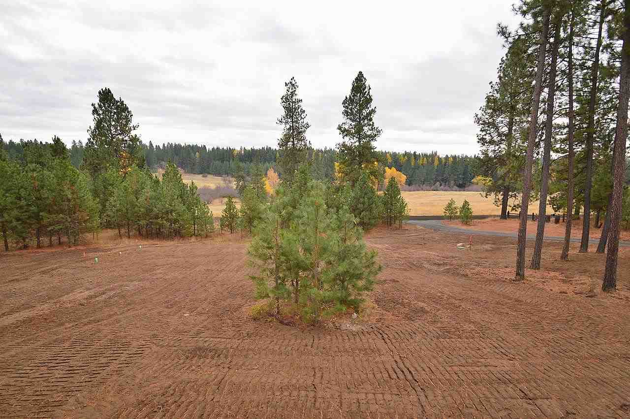 10305 East Connor Road Valleyford, WA 99036 - Photo 4 of 20