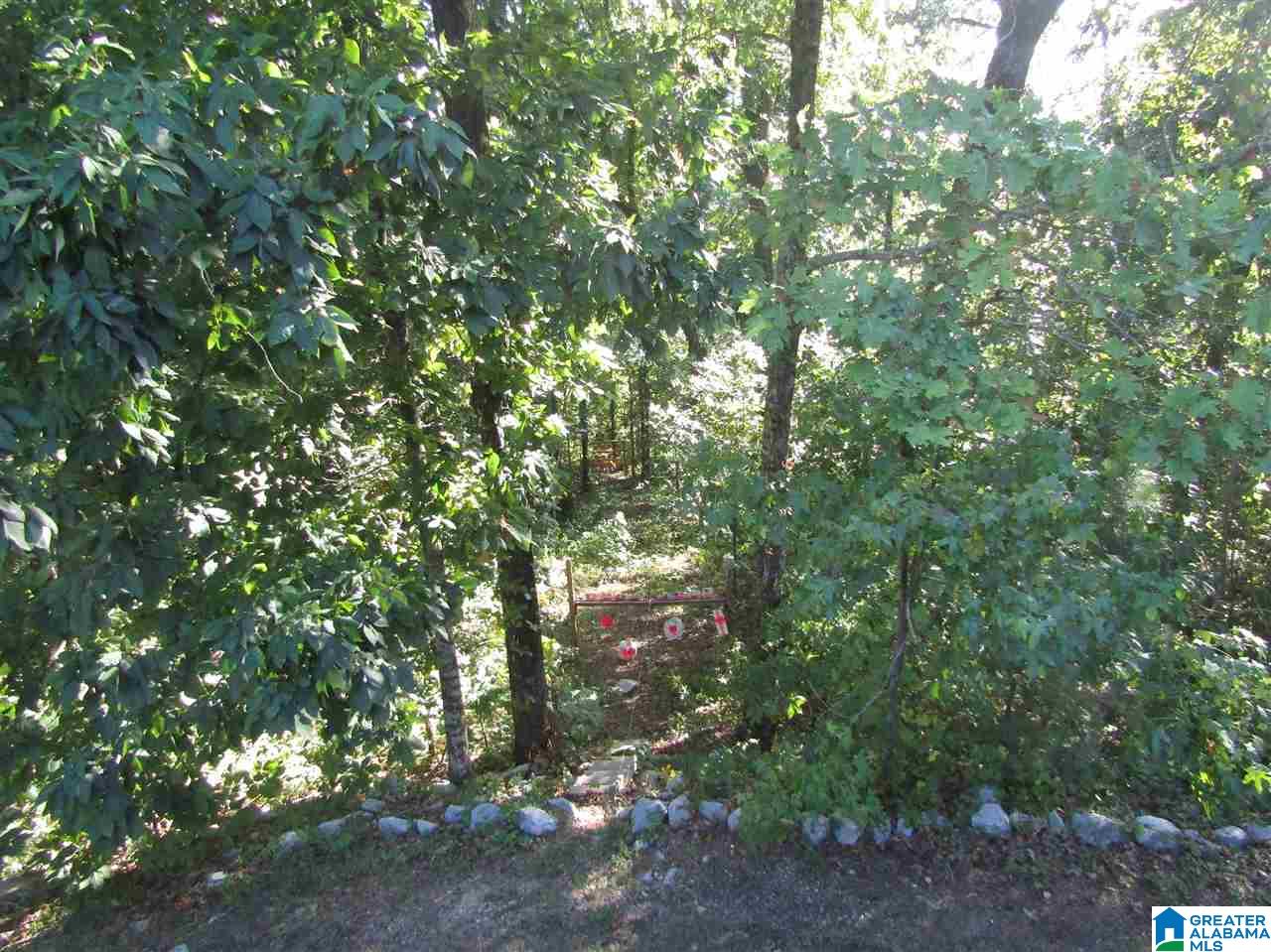 295 Beaver Mountain Road Ashville, AL 35953 - Photo 34 of 35