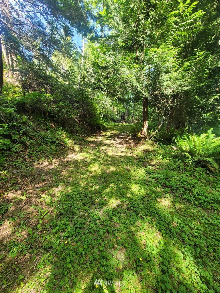 331 Billy Smith Road Port Angeles, WA 98362 - Photo 36 of 40 Gallery Image 36