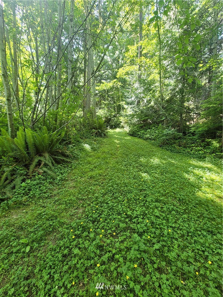 331 Billy Smith Road Port Angeles, WA 98362 - Photo 38 of 40 Gallery Image 38