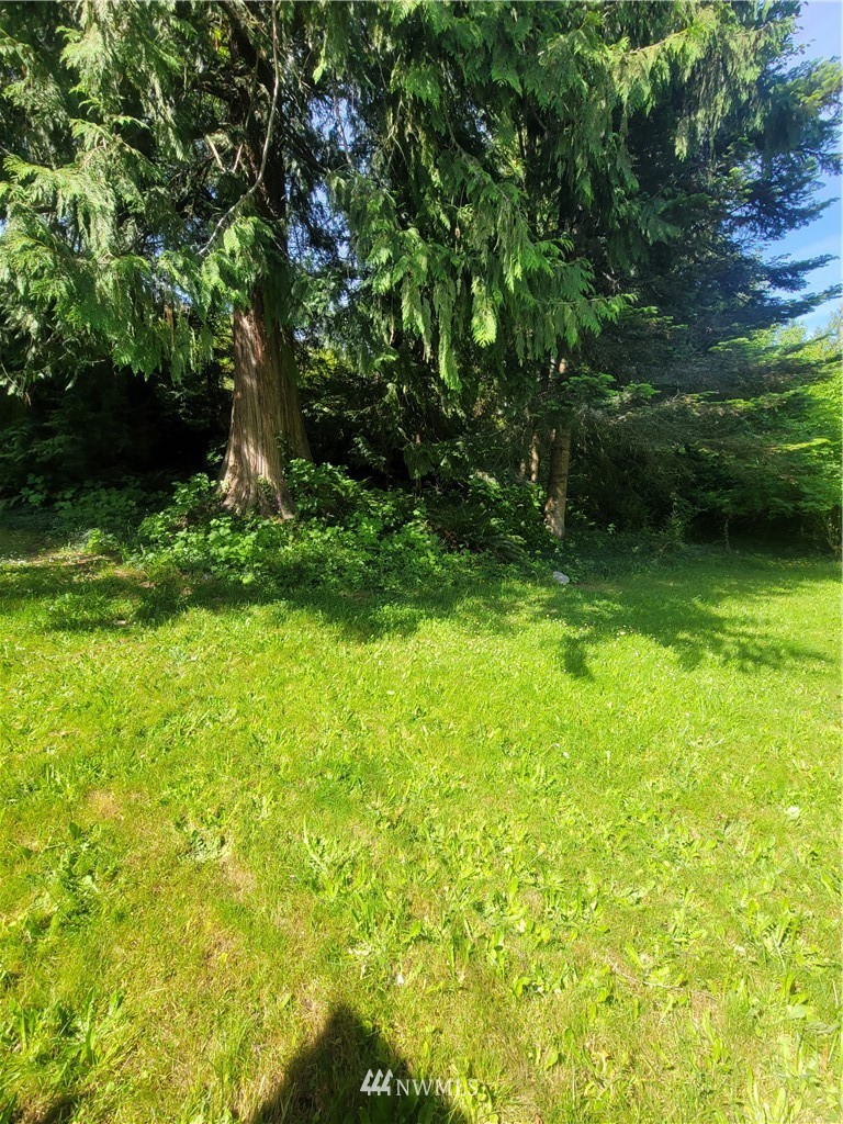 331 Billy Smith Road Port Angeles, WA 98362 - Photo 39 of 40 Gallery Image 39