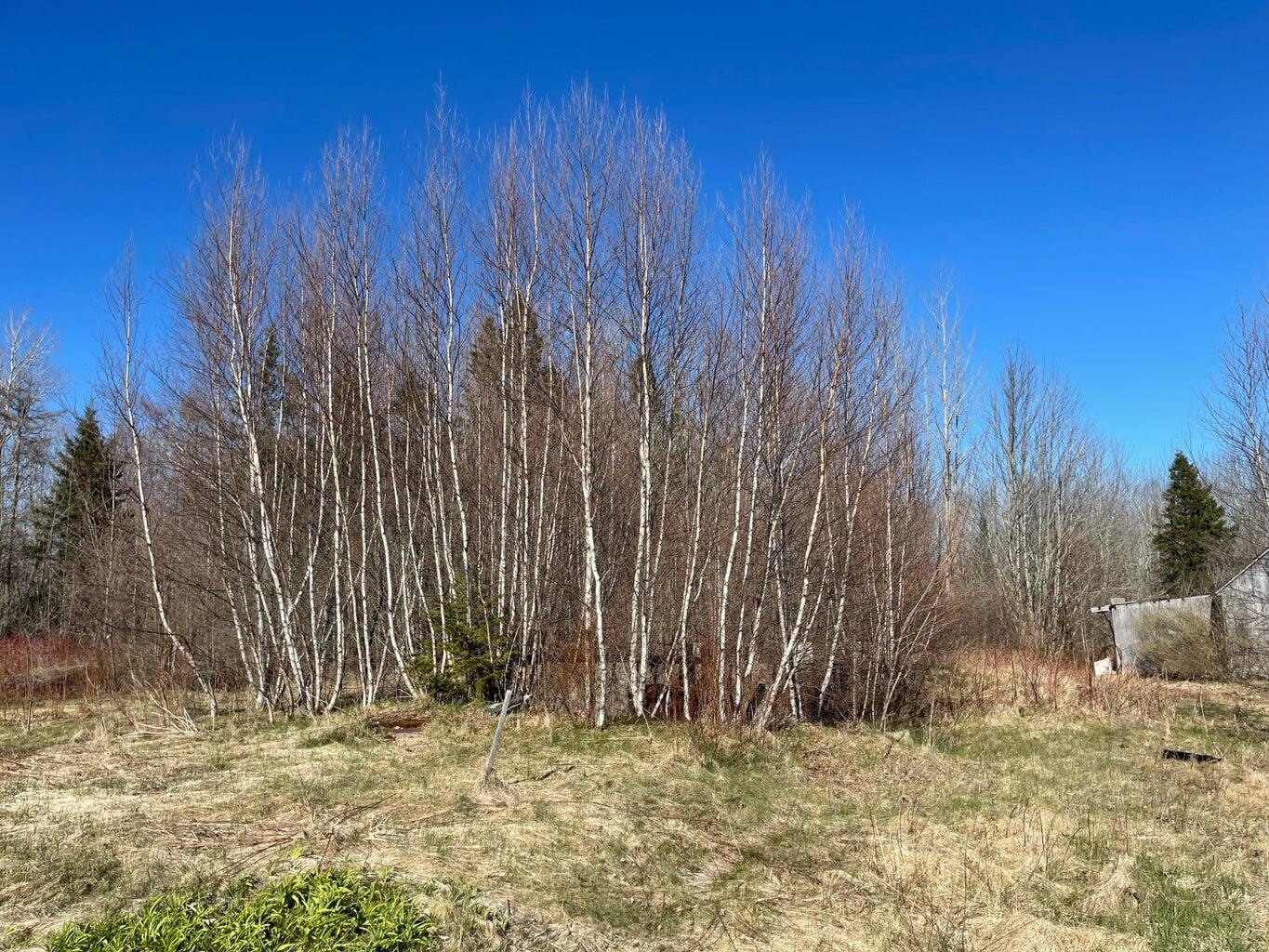 348 Marion Sta Road Dennysville, ME 04628 - Photo 9 of 16 9