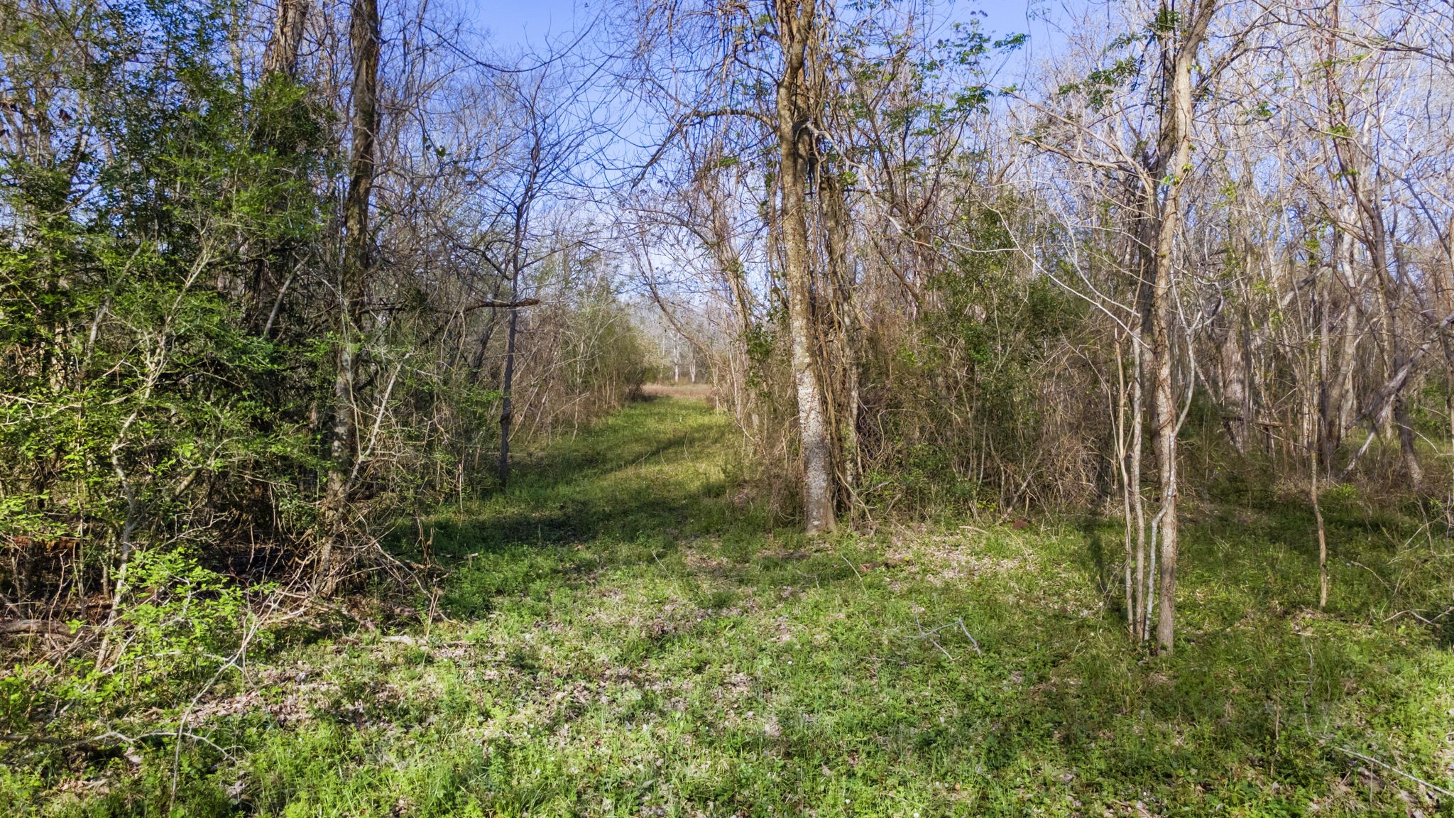 3979 Felder Road Washington, TX 77880 - Photo 11 of 14