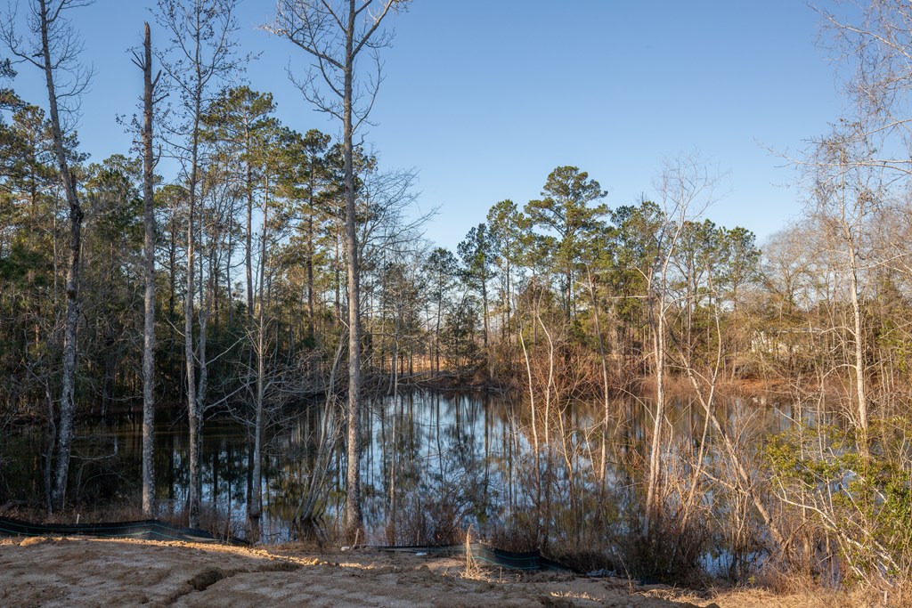 10 Sword Street Fort Mitchell, AL 36856 - Photo 28 of 28 Gallery Image 28