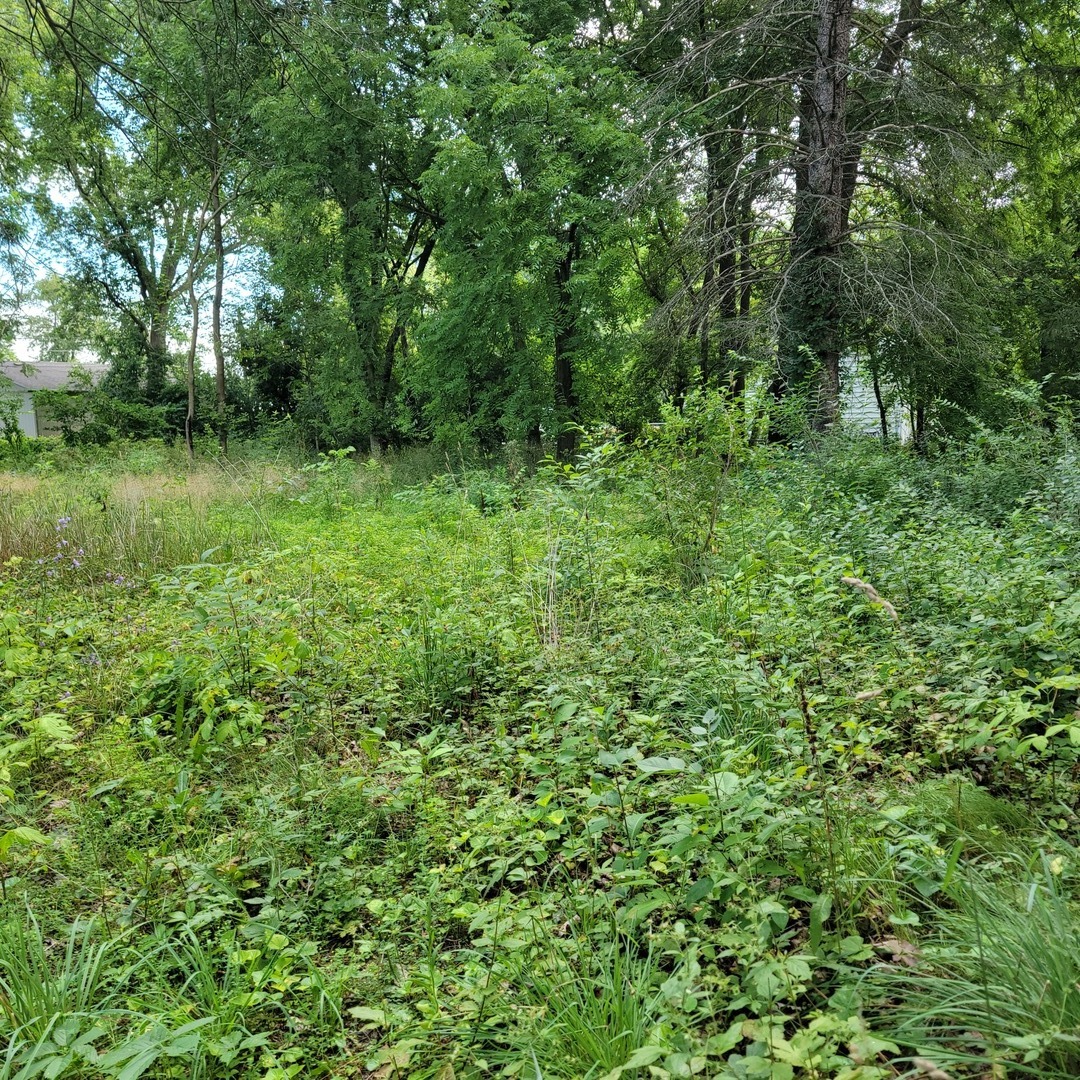 25586 West High Street Wauconda, IL 60084 - Photo 9 of 9 a view of a lush green forest