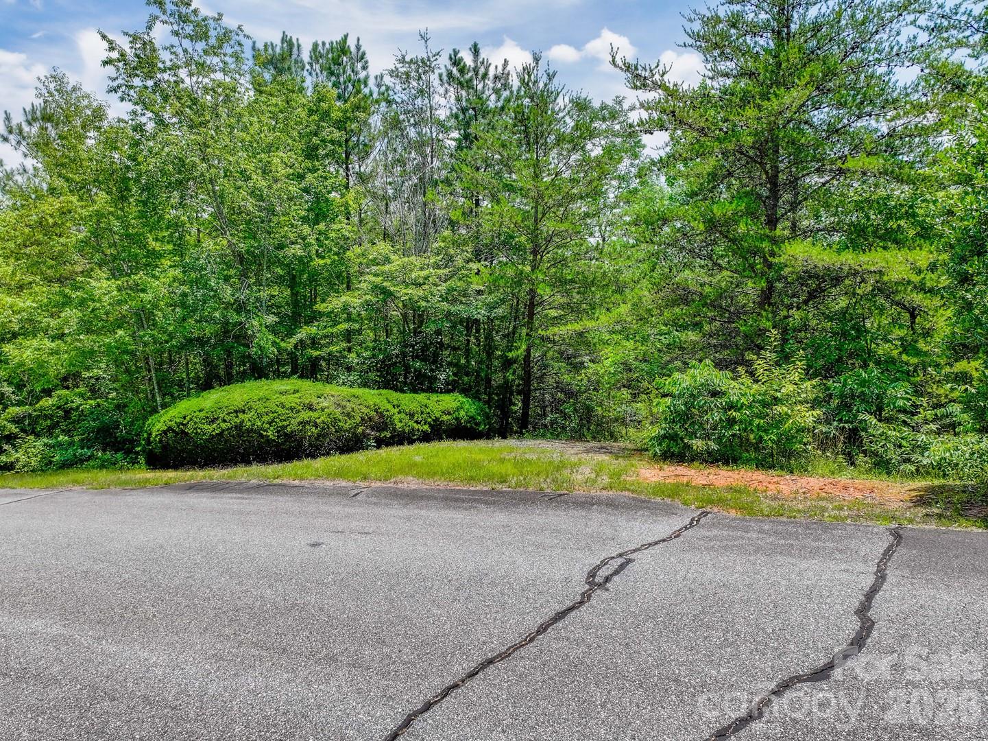 121 Jobes Trail, Unit 35 Mill Spring, NC 28756 - Photo 11 of 20