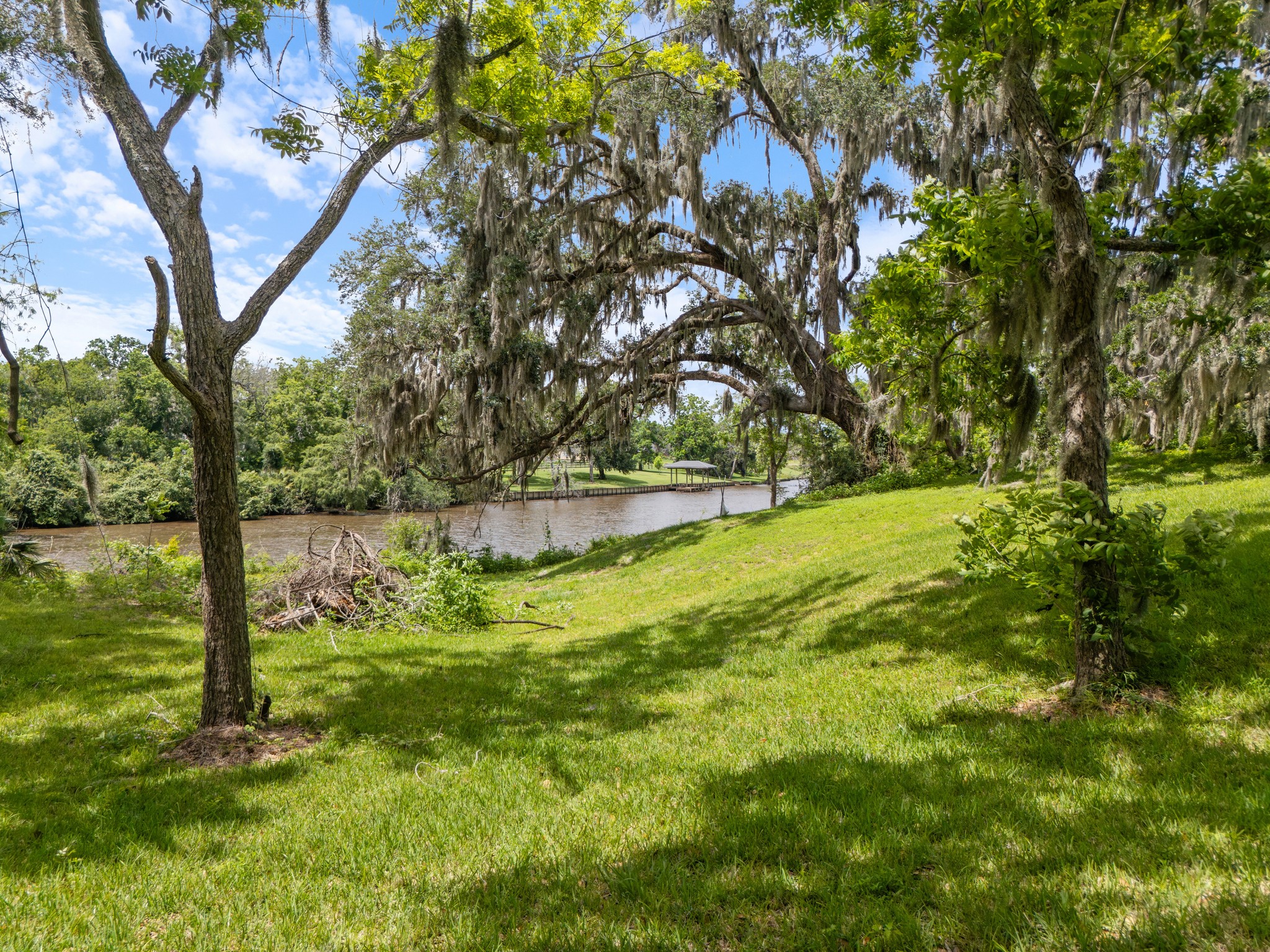 a view of yard with green space