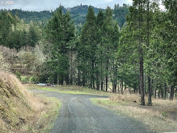 5956 Buckhorn Road Roseburg, OR 97470 - Photo 41 of 42