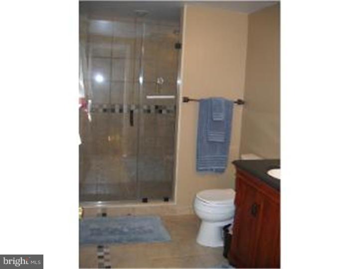 74 Chapman Road Doylestown, PA 18901 - Photo 10 of 16 Master Bathroom