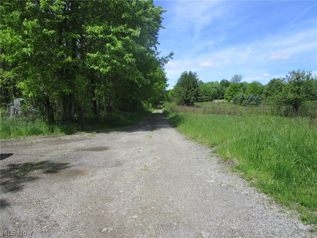 Vl Doyle Road Jefferson, OH 44047 - Photo 42 of 42