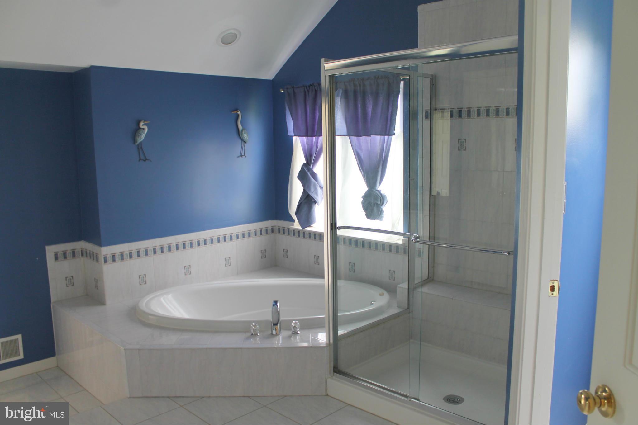 8041 Towering Oak Way Manassas, VA 20111 - Photo 17 of 28 Bath (Master)