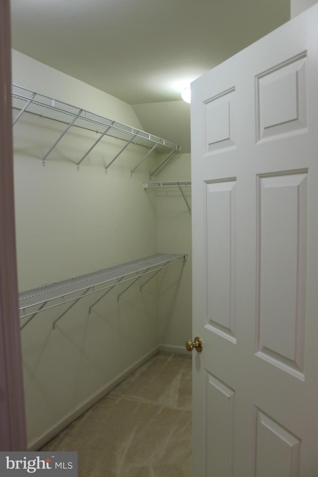 8041 Towering Oak Way Manassas, VA 20111 - Photo 19 of 28 Interior (General)