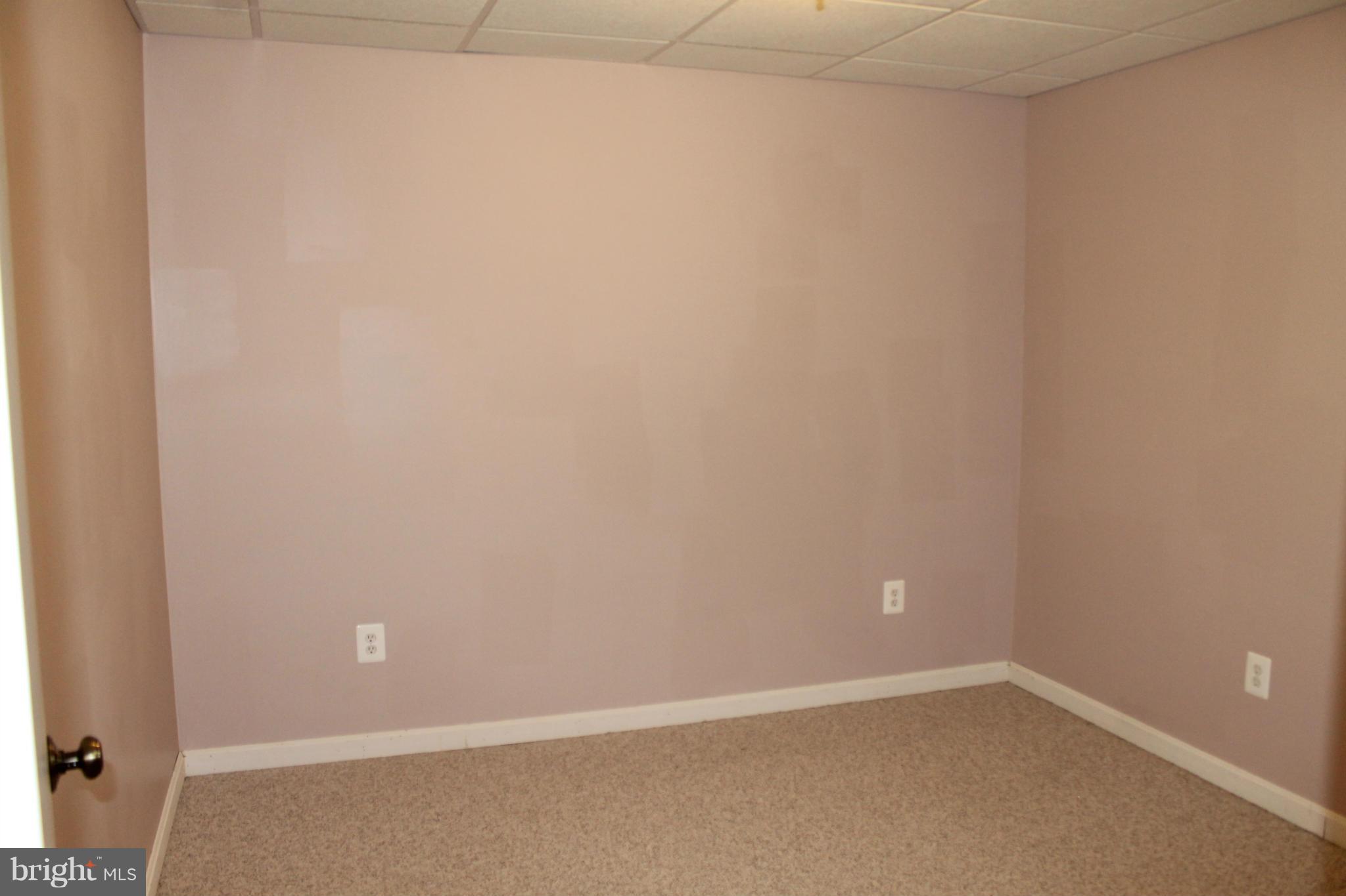 8041 Towering Oak Way Manassas, VA 20111 - Photo 24 of 28 Basement