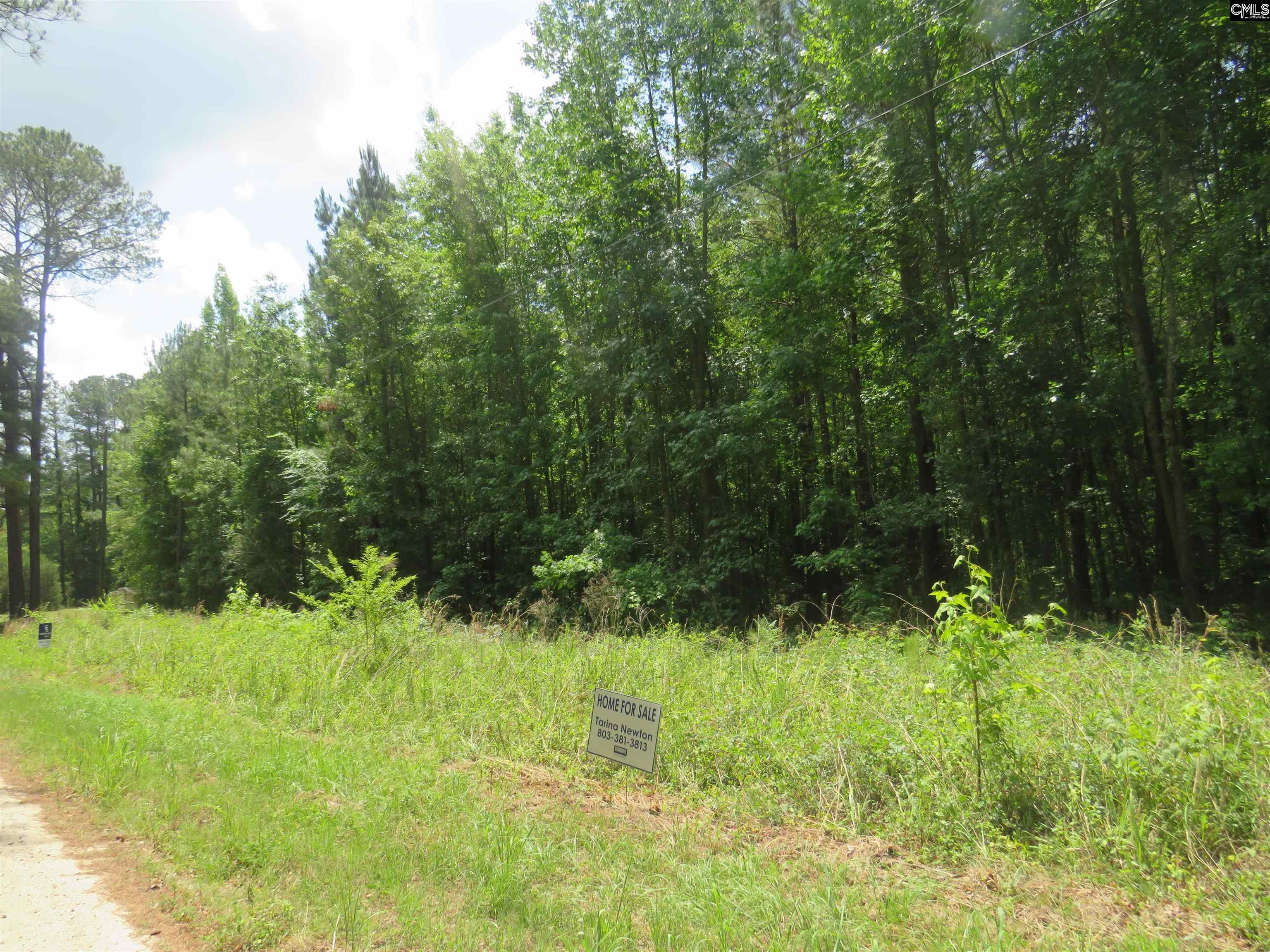 Old Eastover Road Eastover, SC 29044 - Photo 7 of 13