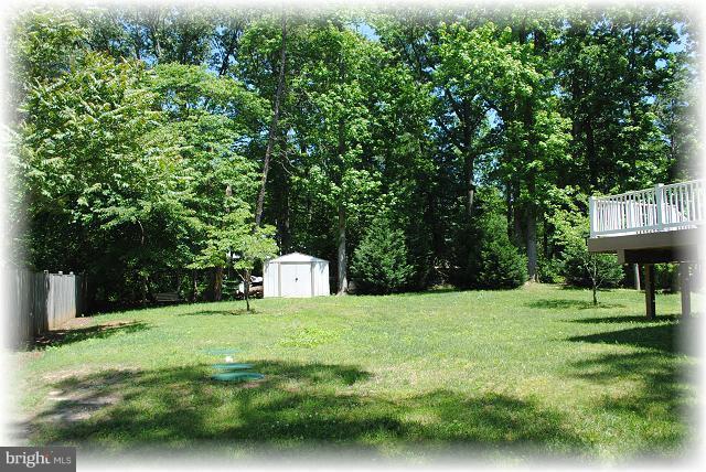Back yard