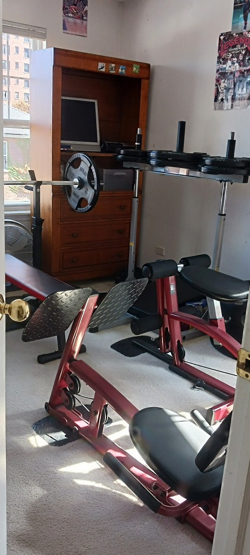 4922 South Cornell Avenue Chicago, IL 60615 - Photo 16 of 19