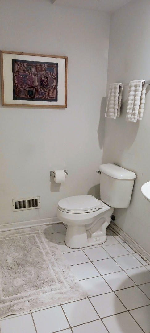 4922 South Cornell Avenue Chicago, IL 60615 - Photo 17 of 19