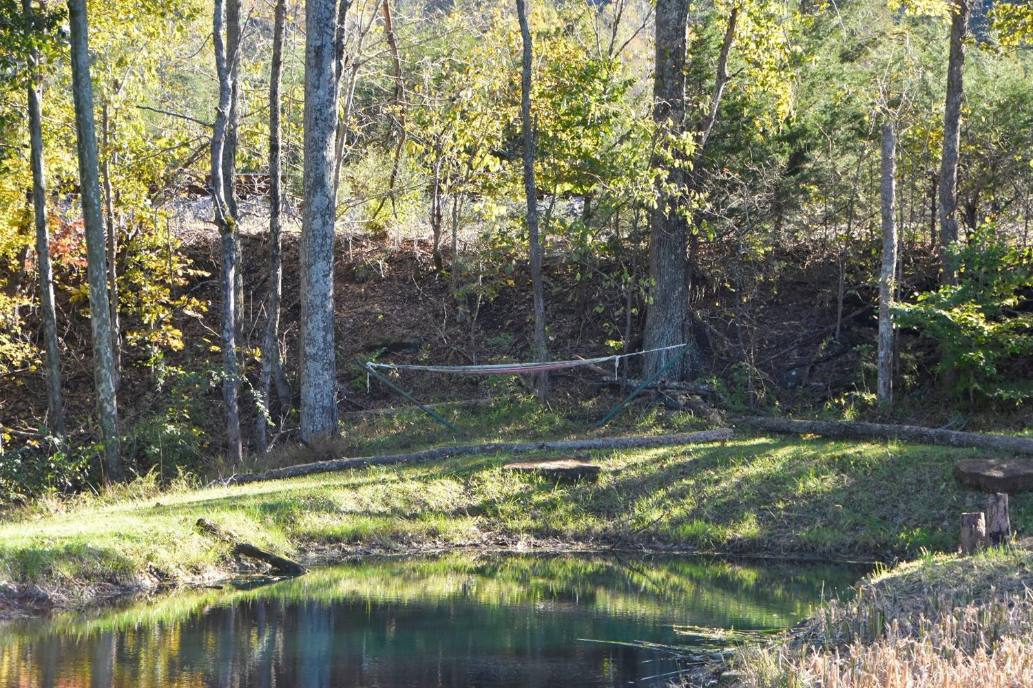 58 Parvin Road Irvine, KY 40336 - Photo 43 of 72 This is why KY is one of the worlds best