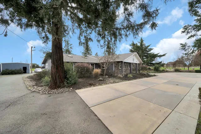a view of a street with a tree in the background
