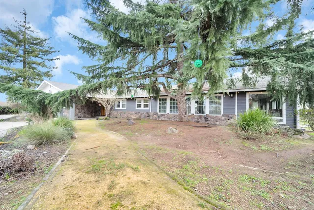 a view of a yard in front of house