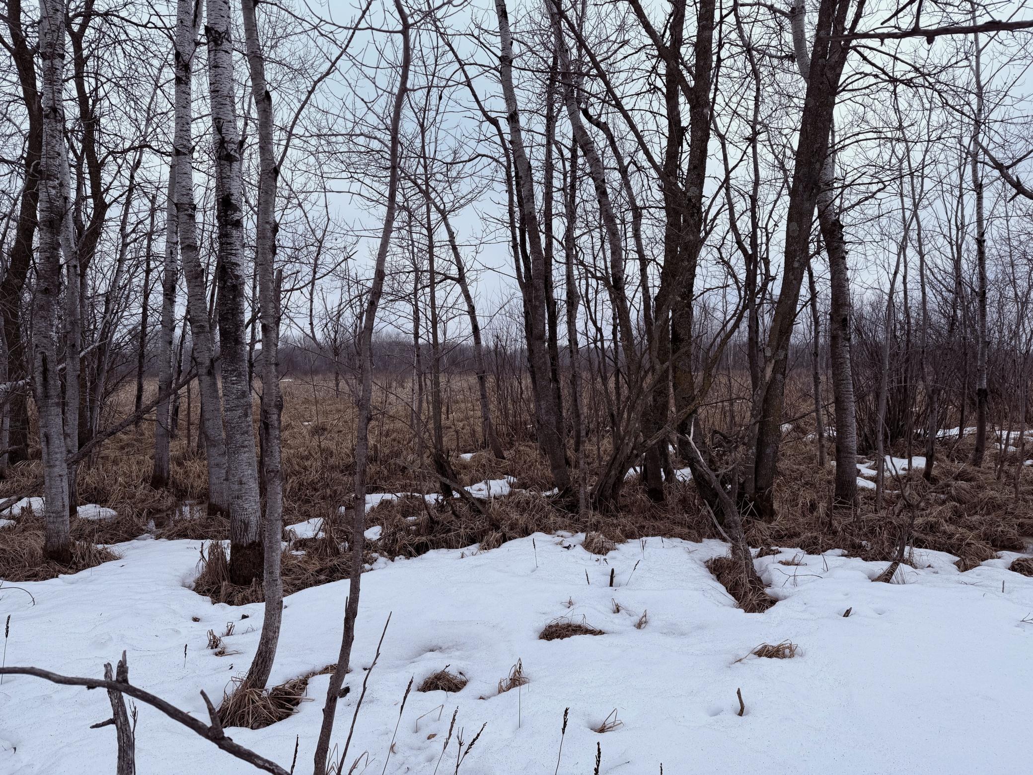 Tbd-b 180th Street Milaca, MN 56353 - Photo 71 of 80