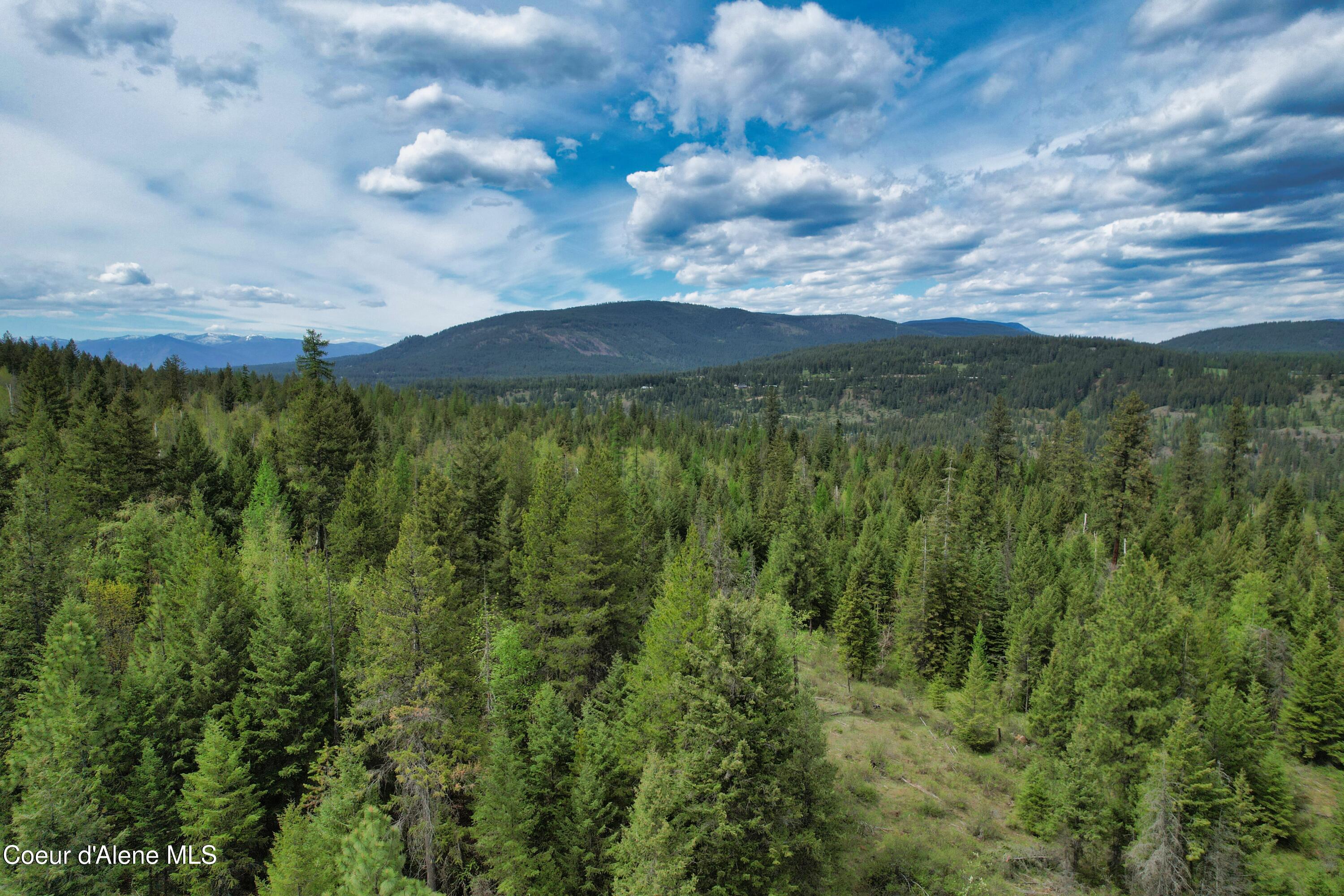 Two Two Tail Road Bonners Ferry, ID 83805 - Photo 12 of 15 DJI_0968