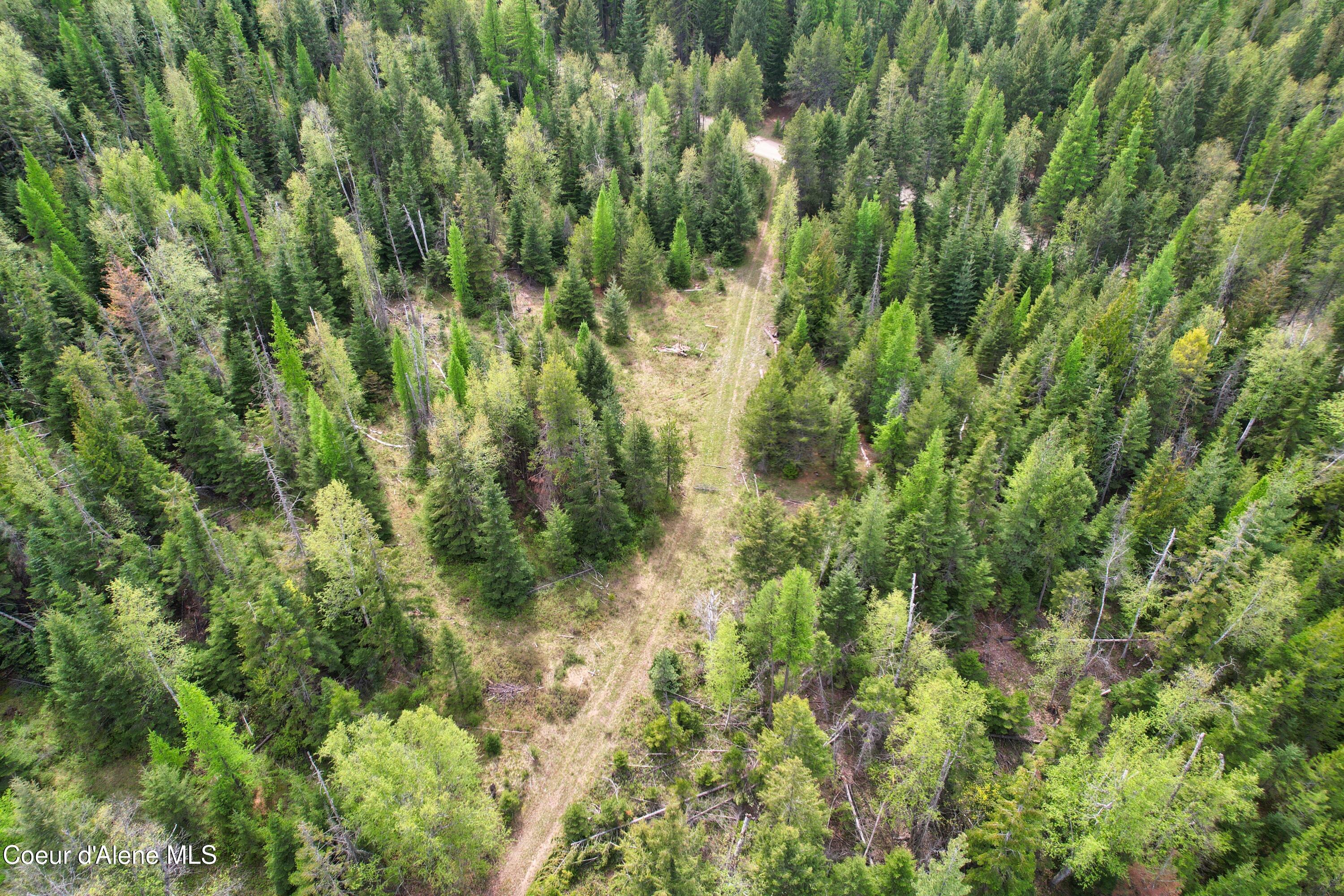 Two Two Tail Road Bonners Ferry, ID 83805 - Photo 13 of 15 DJI_0972