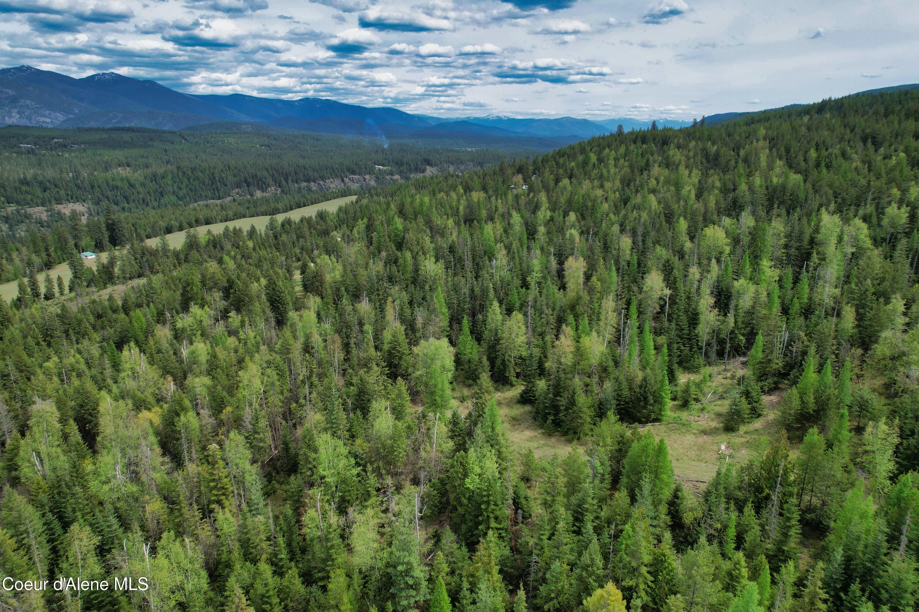 Two Two Tail Road Bonners Ferry, ID 83805 - Photo 14 of 15 DJI_0973