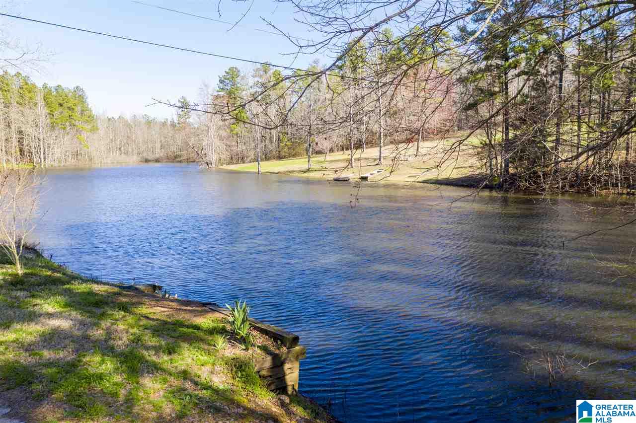 593 Lock 4 Road Riverside, AL 35135 - Photo 45 of 49