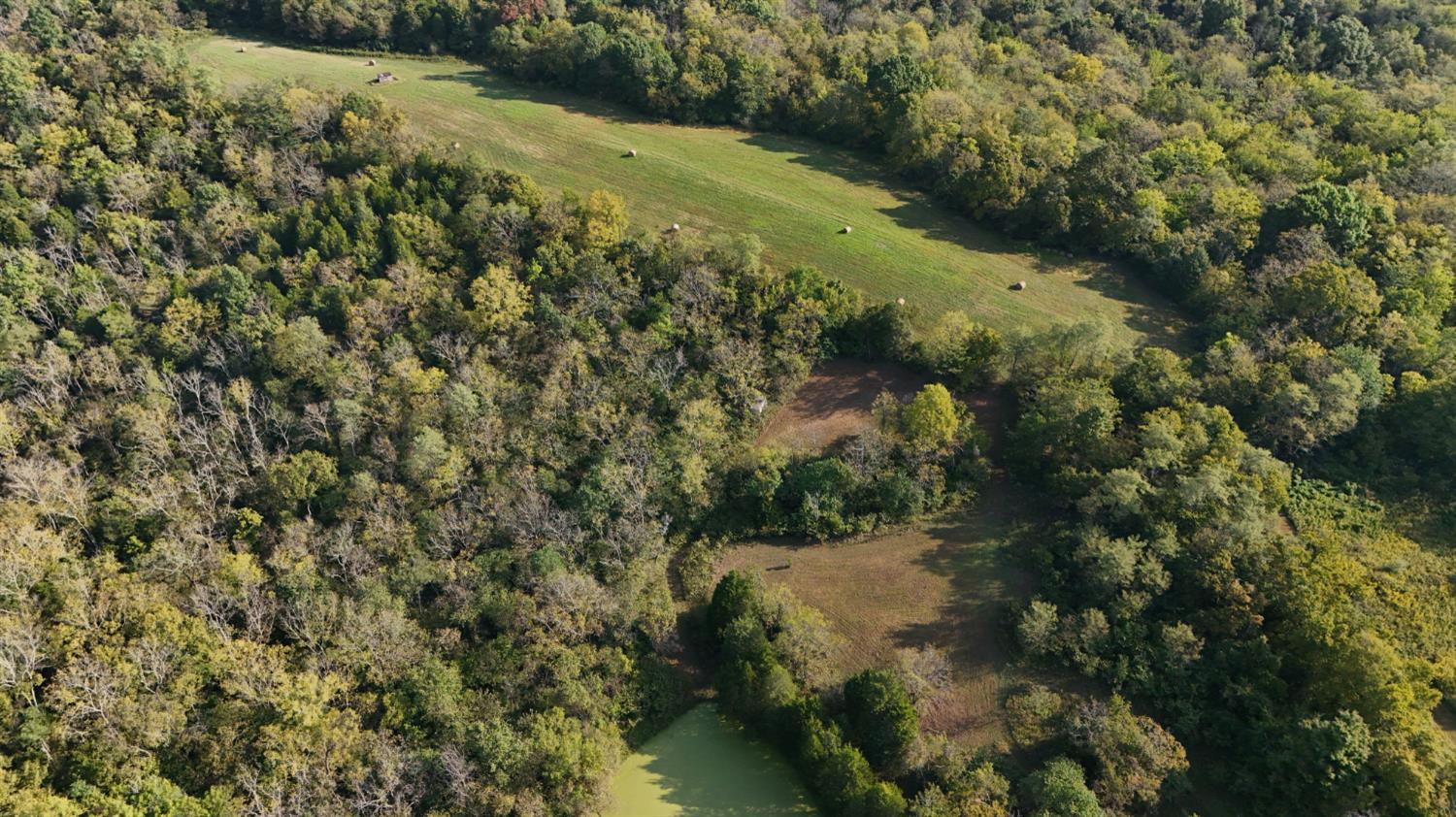 0 Dugan Road Vevay, IN 47043 - Photo 10 of 53 Gallery Image 10