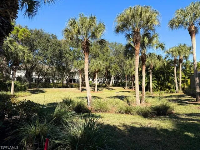 a view of a yard with palm trees