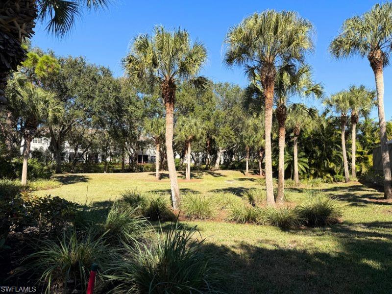 4995 Marsh Turtle Trail, Unit 102 Estero, FL 33928 - Photo 25 of 42 a view of a yard with palm trees