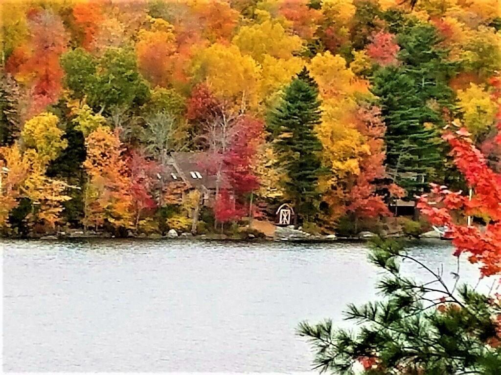 427 Lakeview Avenue Dedham, ME 04429 - Photo 31 of 35 Autumn colors ignite all around this...