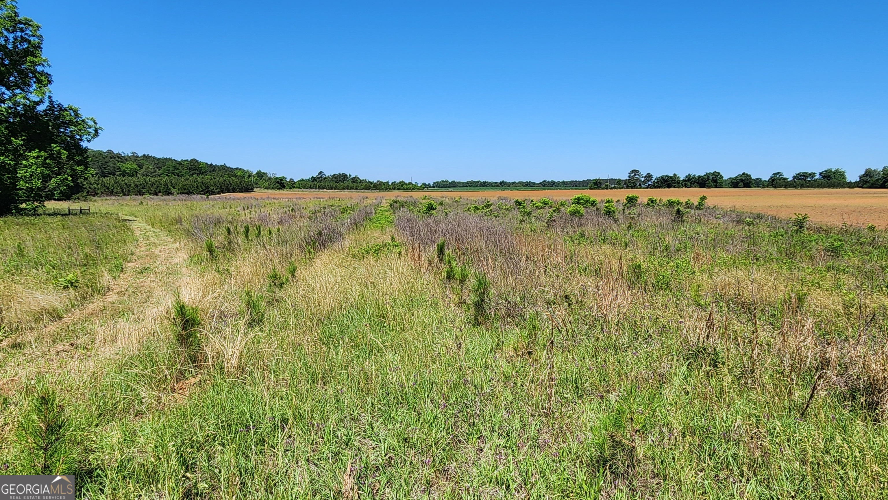 246 Melton Mill Road Dawson, GA 39842 - Photo 11 of 78