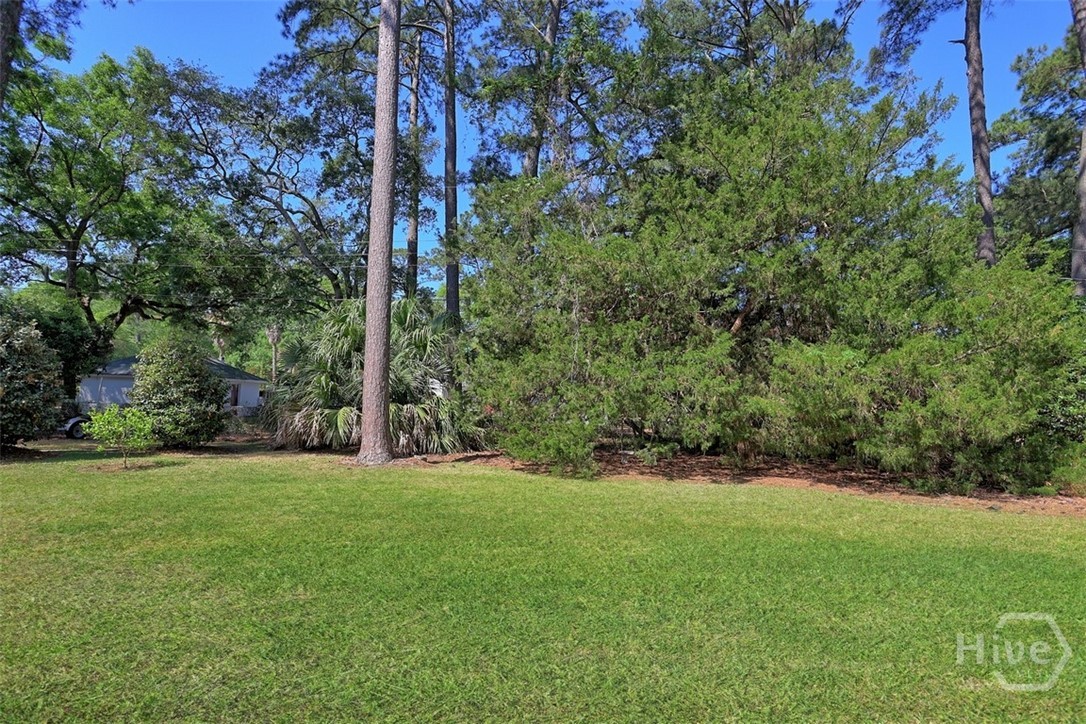 207 Debra Road Savannah, GA 31410 - Photo 35 of 38