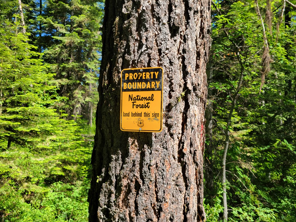 671 West Mountain Road Cascade, ID 83611 - Photo 4 of 11 Wooded