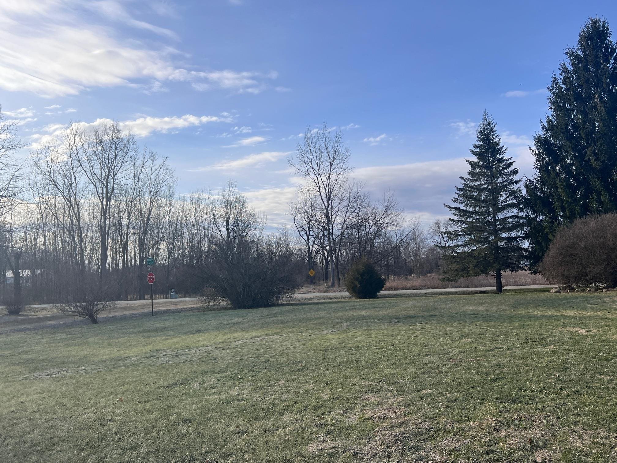 491 Tyrrell Road Bancroft, MI 48414 - Photo 31 of 33