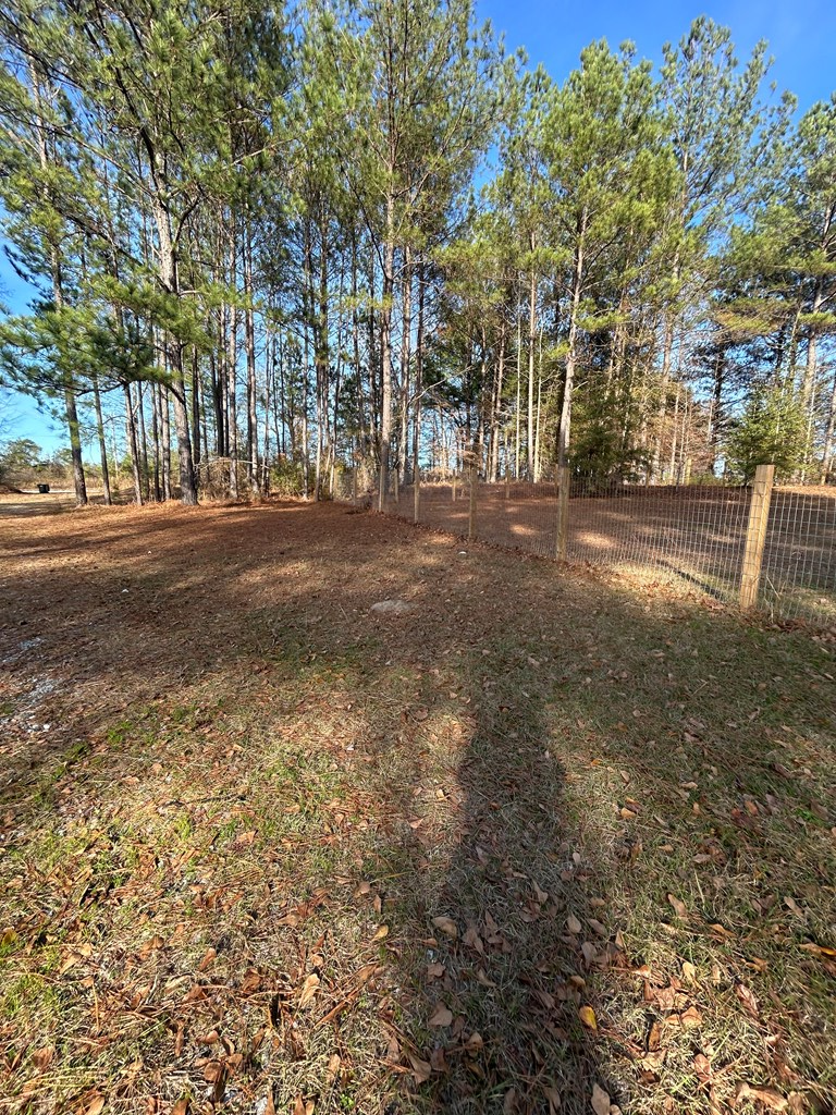 107 Oswichee Road Fort Mitchell, AL 36856 - Photo 2 of 56 a view of road and trees