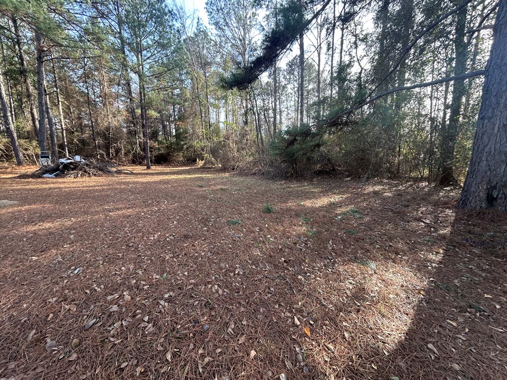 107 Oswichee Road Fort Mitchell, AL 36856 - Photo 48 of 56 a view of a yard with a tree