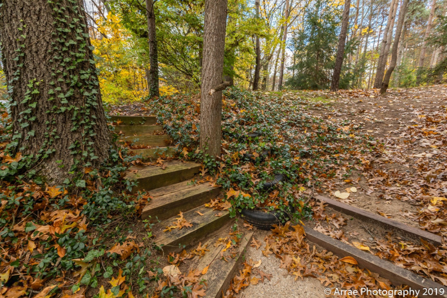 7777 Cascade Road Southeast Grand Rapids, MI 49546 - Photo 48 of 50 191105_12