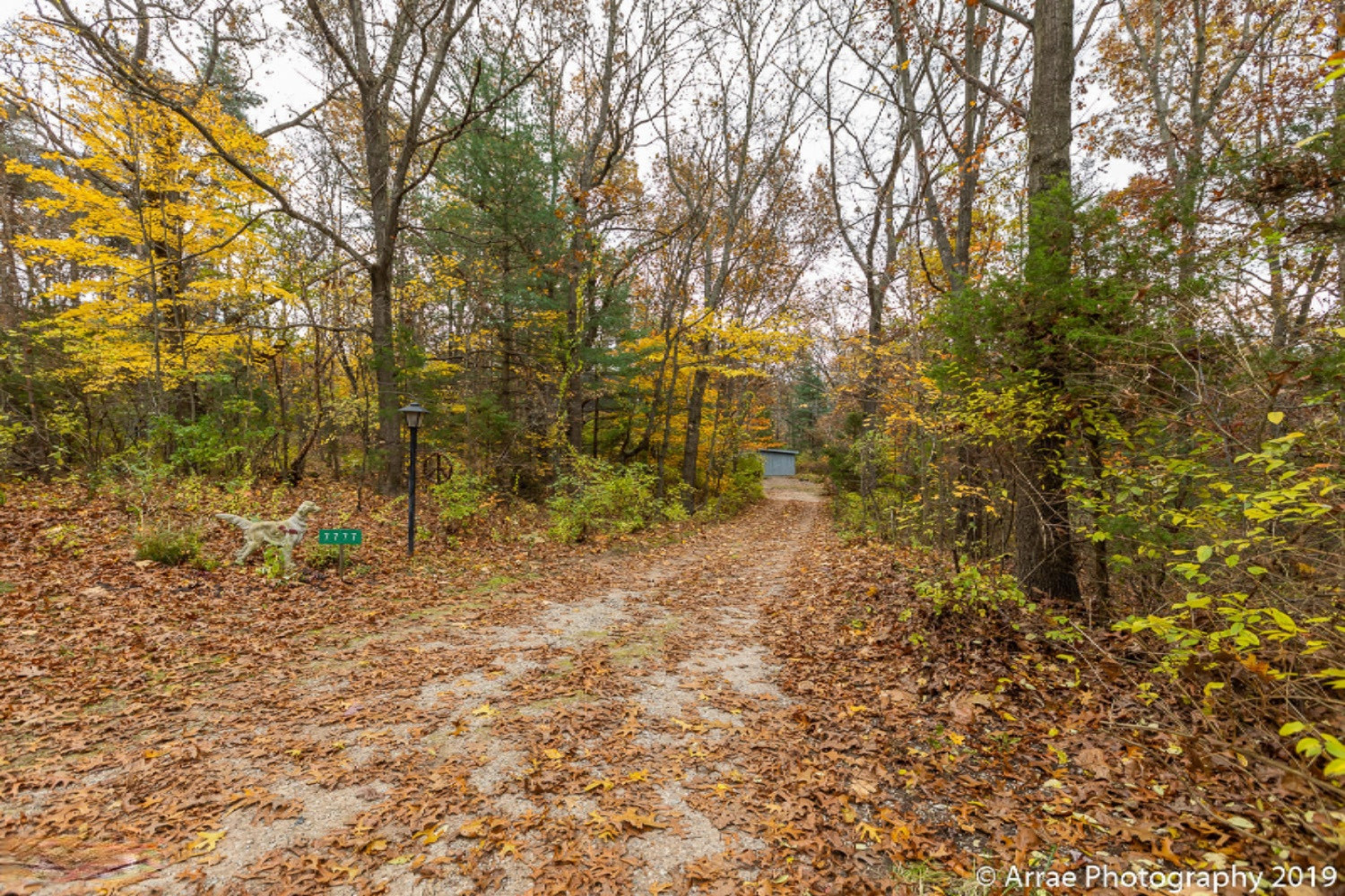 7777 Cascade Road Southeast Grand Rapids, MI 49546 - Photo 50 of 50 191105_01