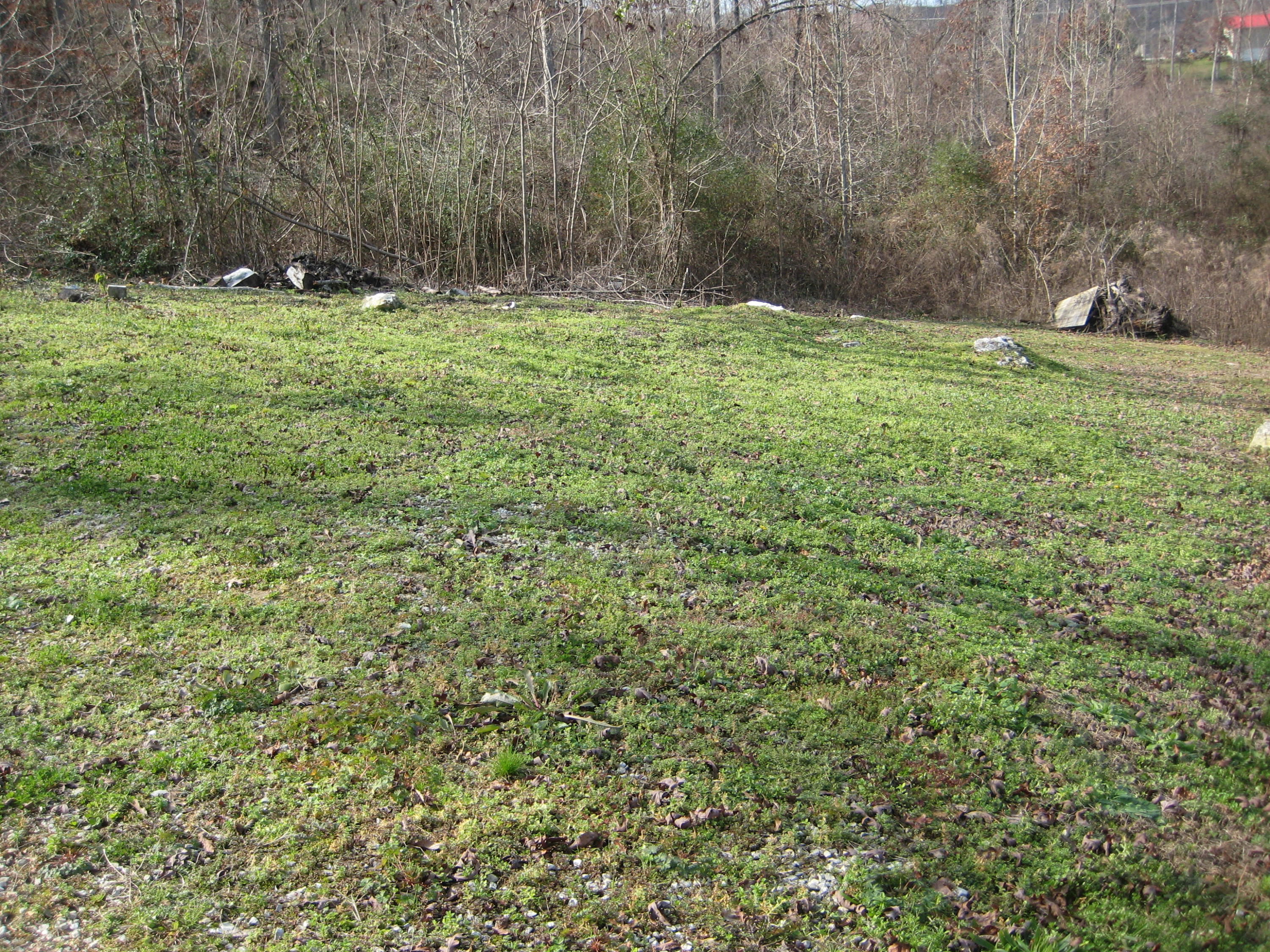 7539 Davis Mill Road Harrison, TN 37341 - Photo 26 of 27 more yard:)
