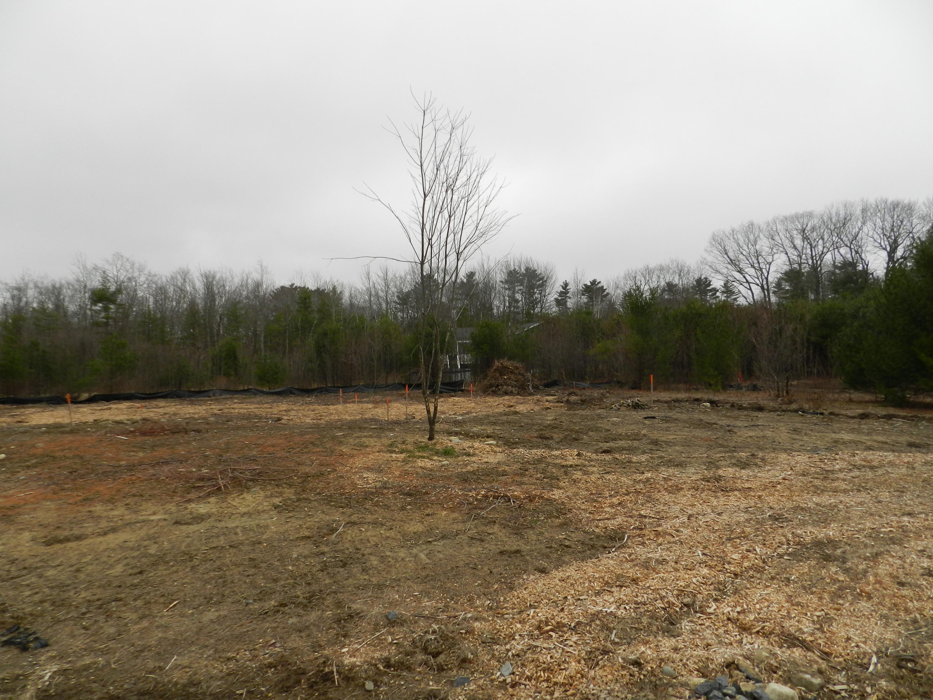19 Wayne Road Westbrook, ME 04092 - Photo 4 of 5 19wayneroad 005