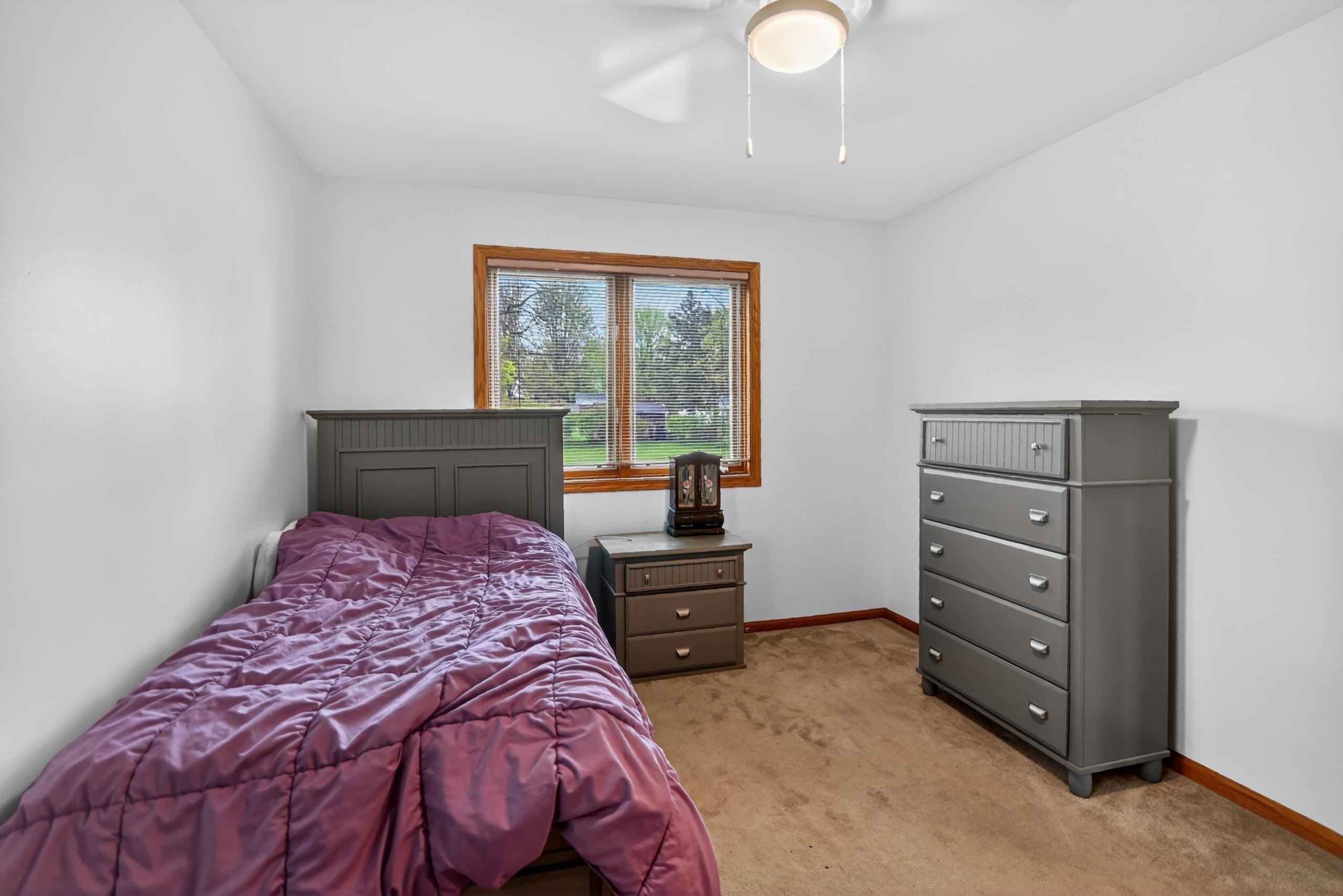 383 Sunnyview Lane Marshall, WI 53559 - Photo 20 of 38