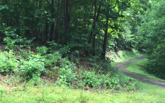 16 Ross Ridge Road Blairsville, GA 30512 - Photo 2 of 4 Additional View