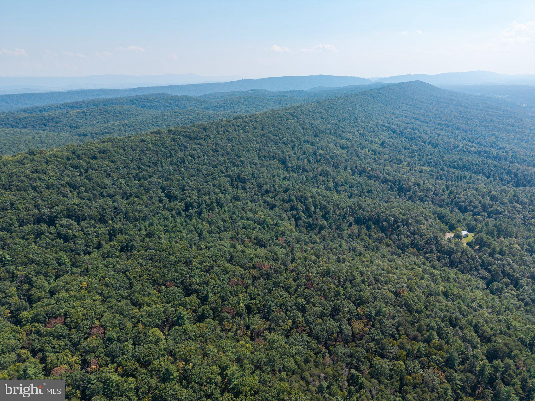 0 Supinlick Ridge Road Mount Jackson, VA 22842 - Photo 22 of 33 Gallery Image 22