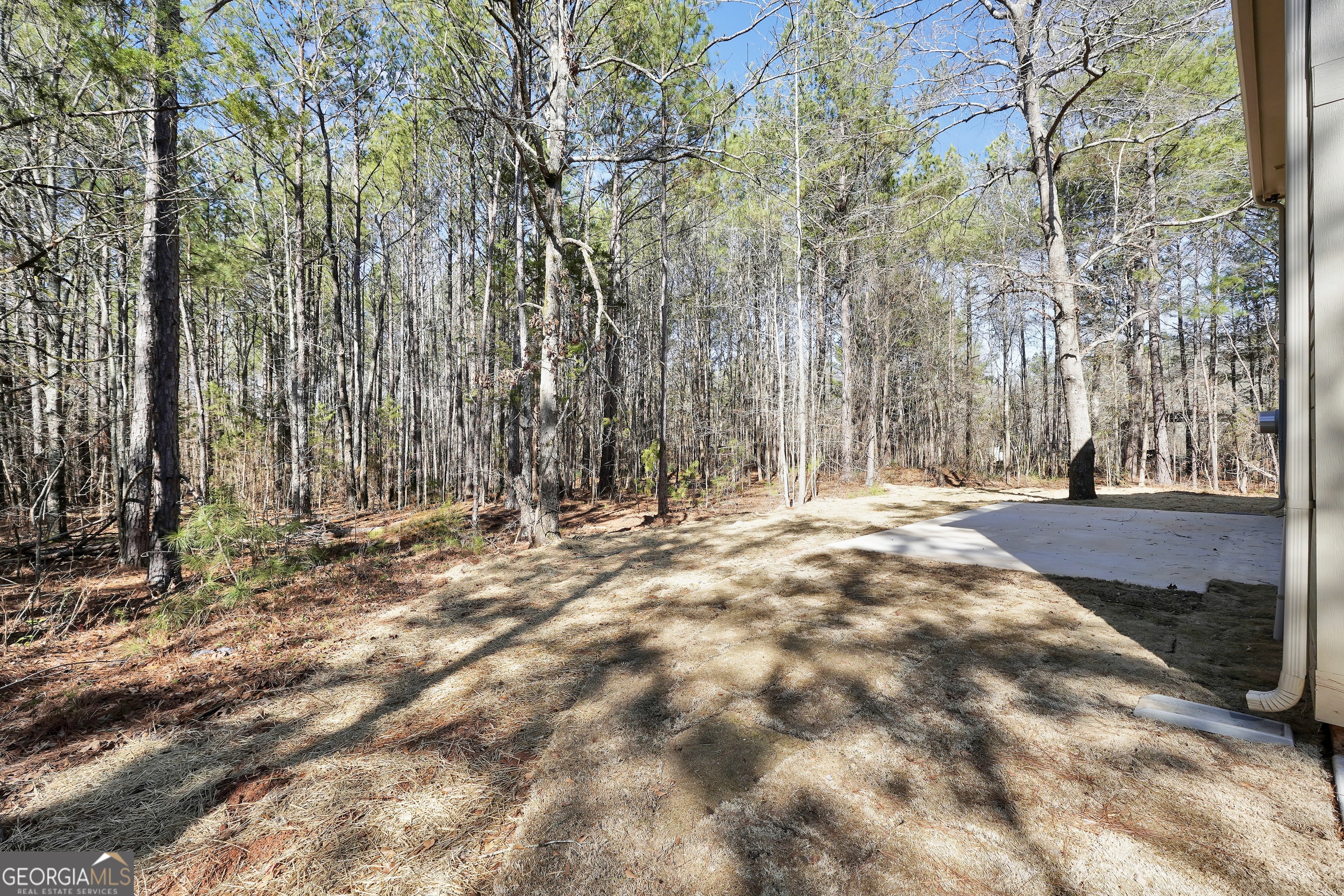 254 Dub Walker Road Jackson, GA 30233 - Photo 33 of 33