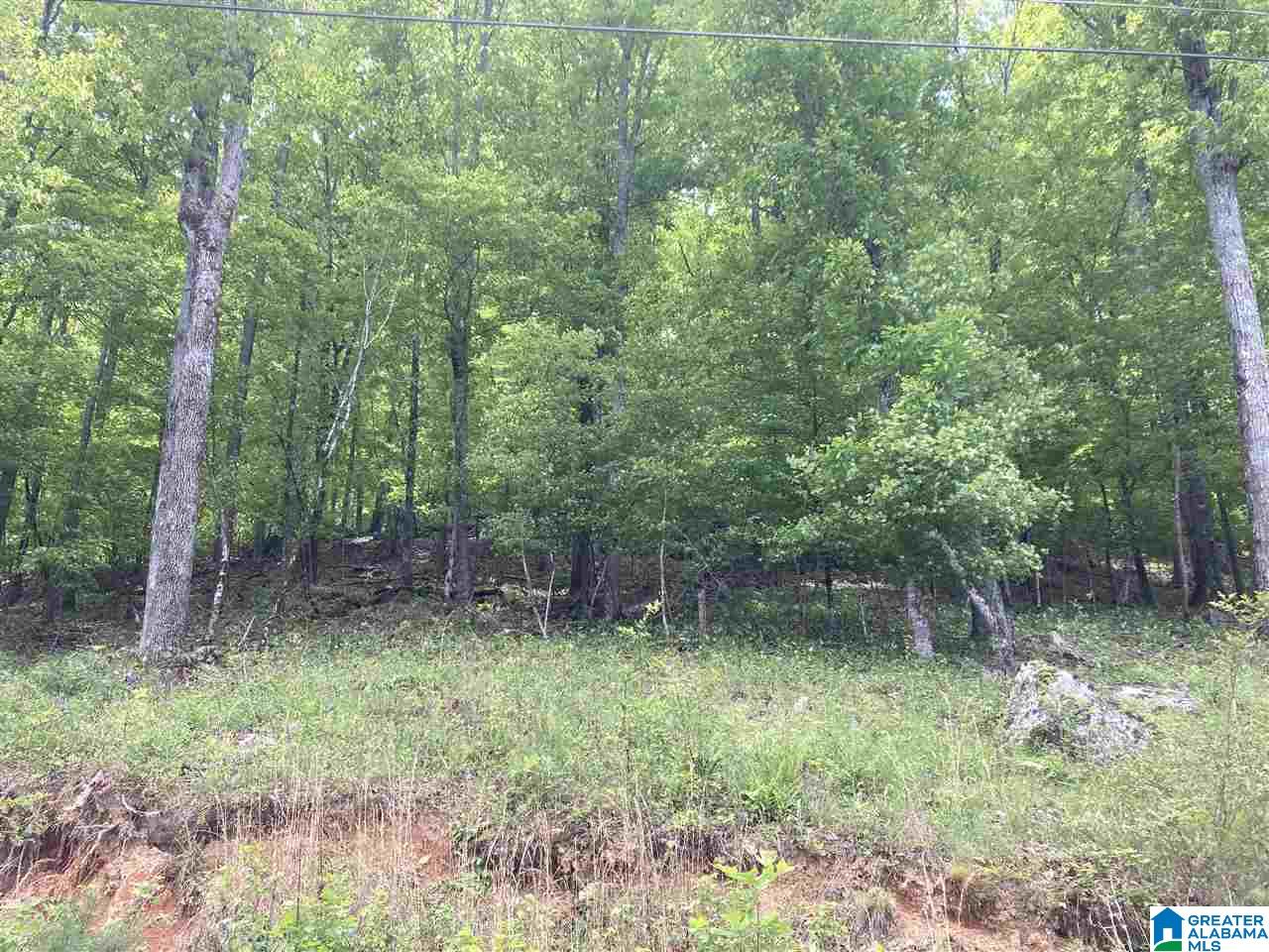 0 Boulder Point Lane, Unit 27 Ohatchee, AL 36271 - Photo 1 of 2