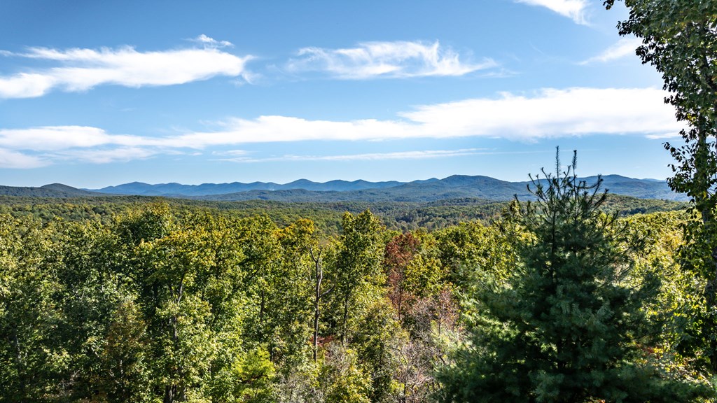 234 Oak Ledge Road Morganton, GA 30560 - Photo 4 of 65